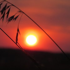 Схема вышивки «закат»