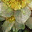 Предпросмотр схемы вышивки «Нарцисы» (№788412)