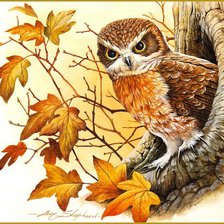 Схема вышивки «№788431»