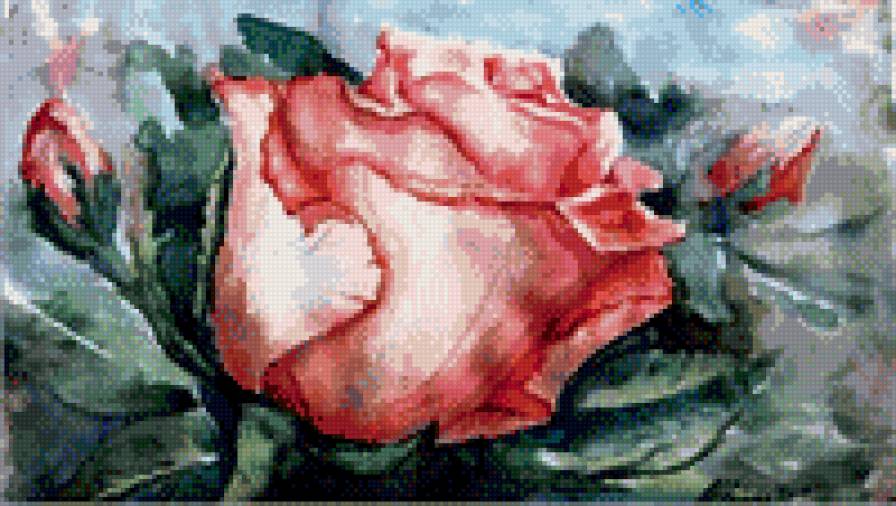 роза  акварель - предпросмотр