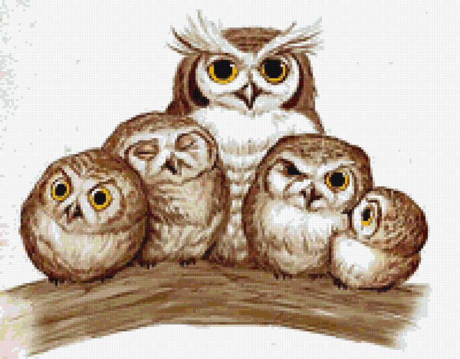 совки2 - птицы - предпросмотр