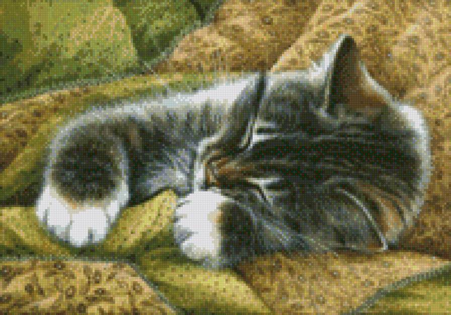 №789451 - предпросмотр