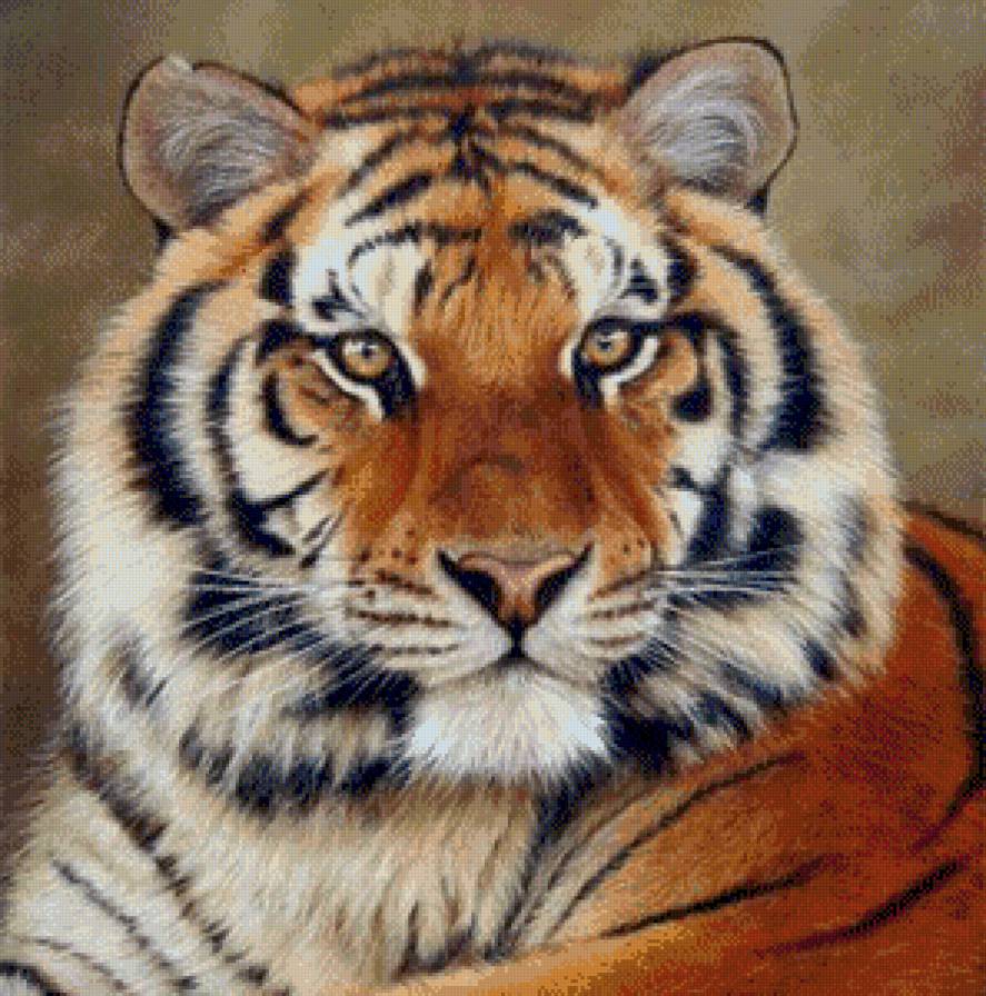 тигр - предпросмотр