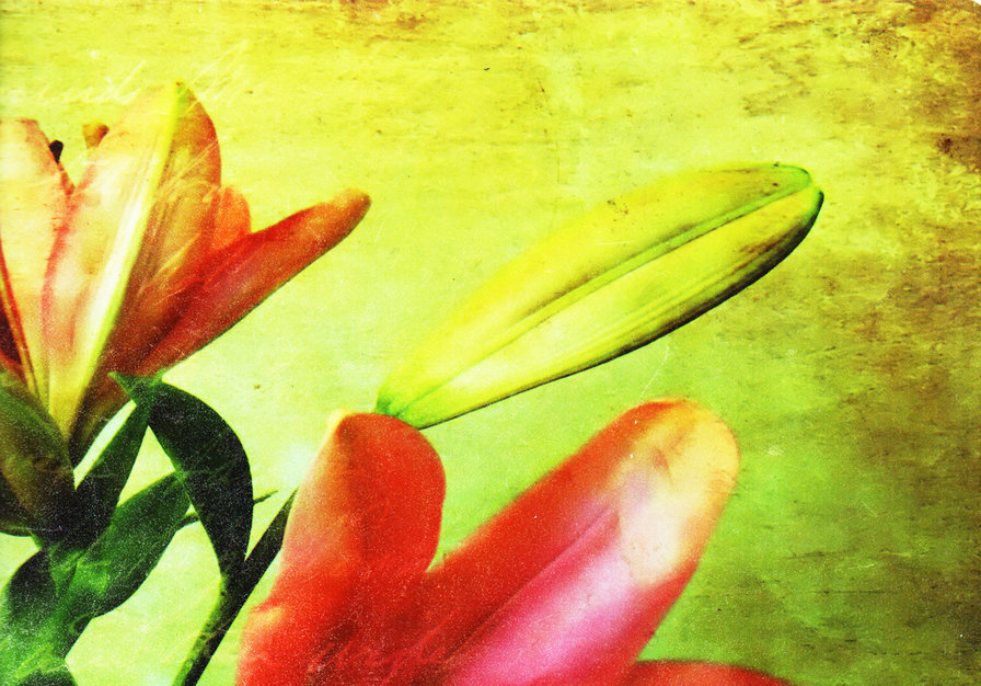 15121954 - оригинал