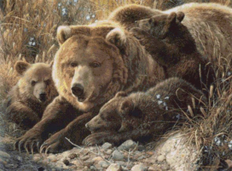 Медведица с медвежатами малая 3 - животные, медведица с медвежатами, природа - предпросмотр