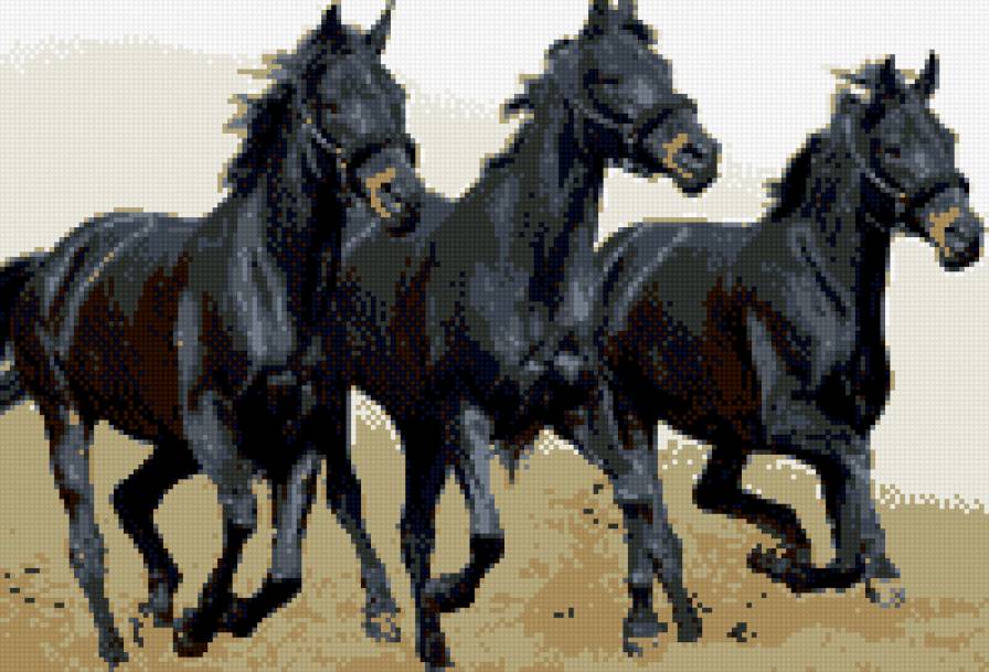 лошади - предпросмотр