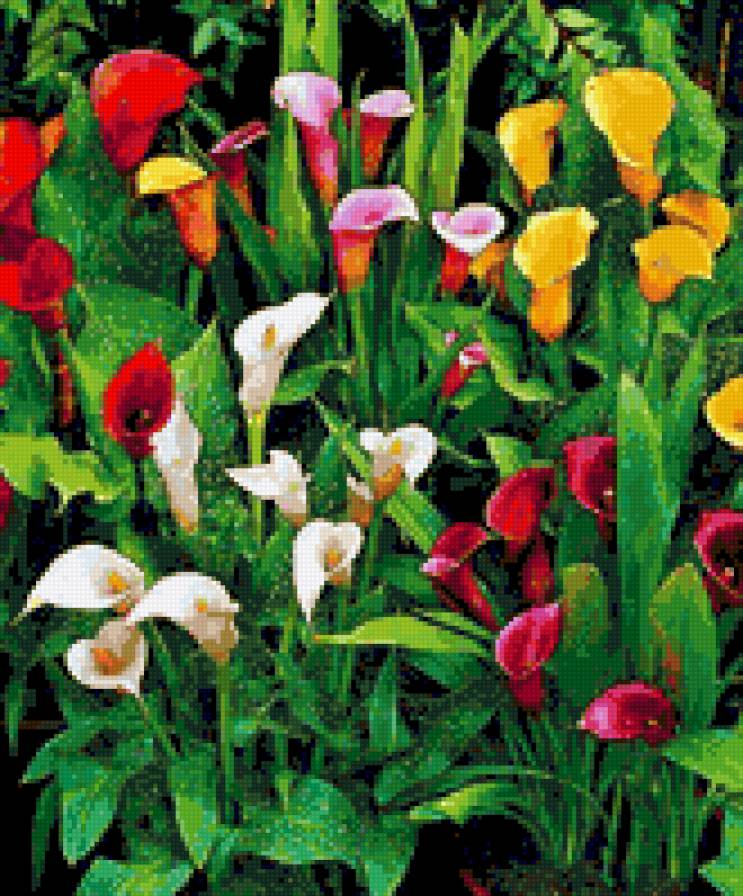 №789812 - предпросмотр