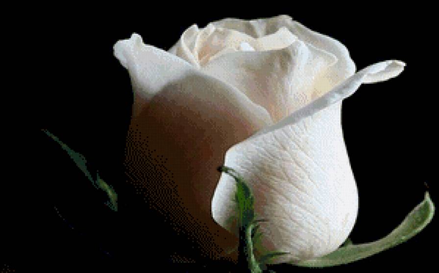 №789917 - предпросмотр