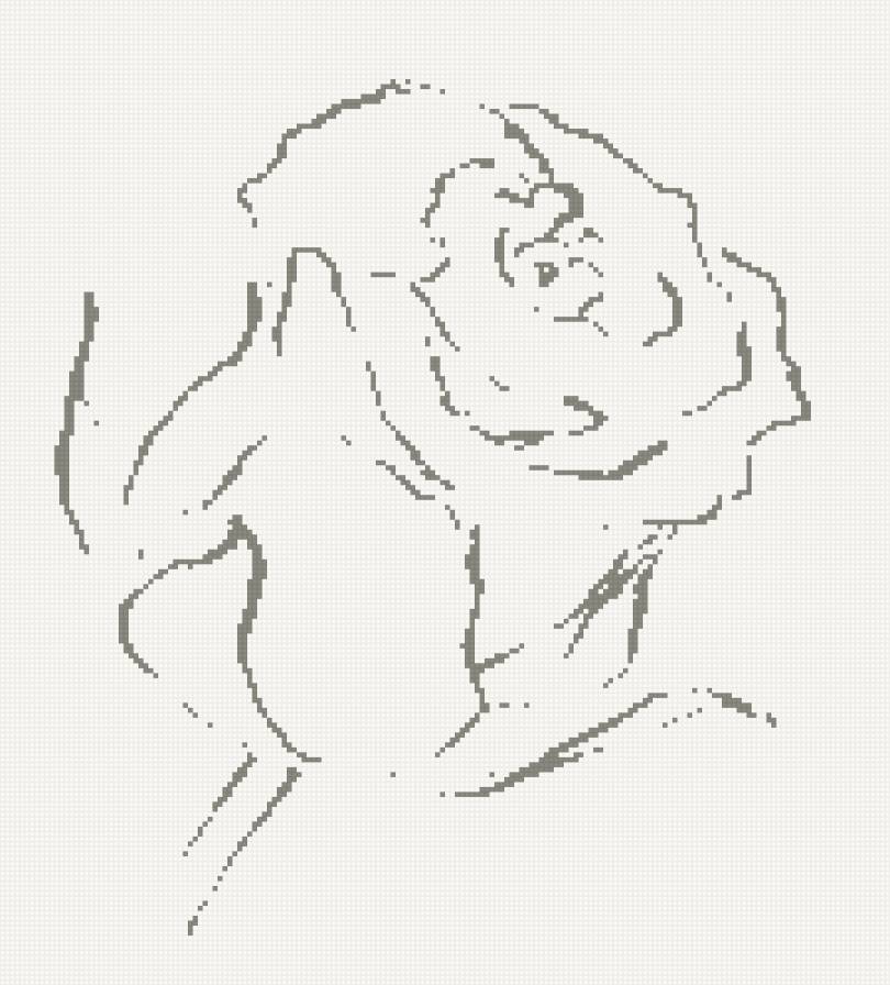 Роза - цветы, роза - предпросмотр