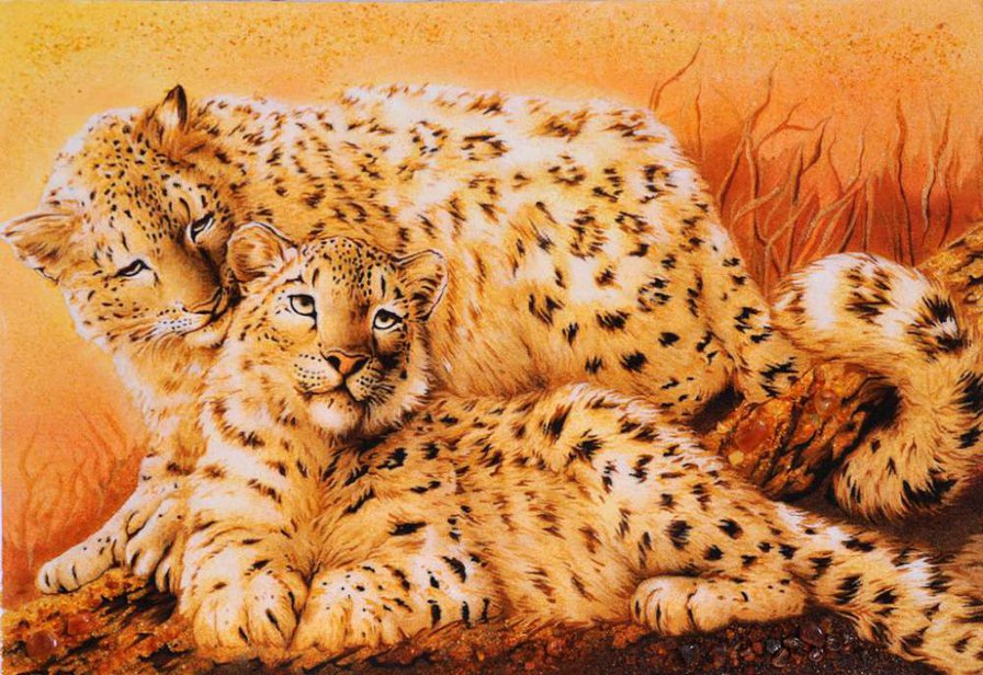 Тигр - животные - оригинал