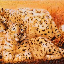 Схема вышивки «Тигр»