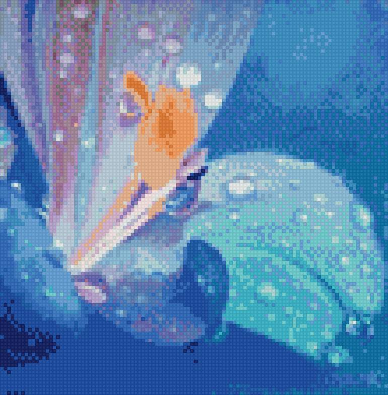 Орхидея - предпросмотр