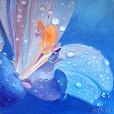 Схема вышивки «Орхидея»