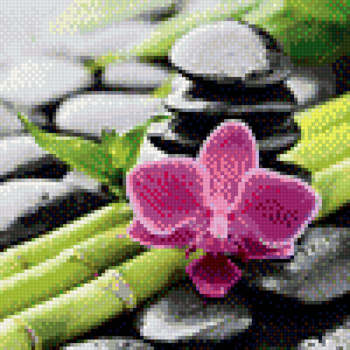 Орхидея - предпросмотр