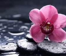 Схема вышивки «Орхидея»