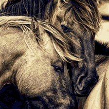 Схема вышивки «kone_g»