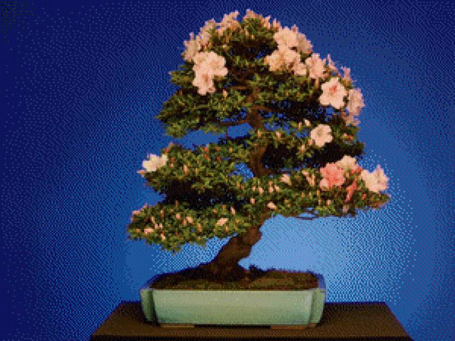 №790175 - предпросмотр