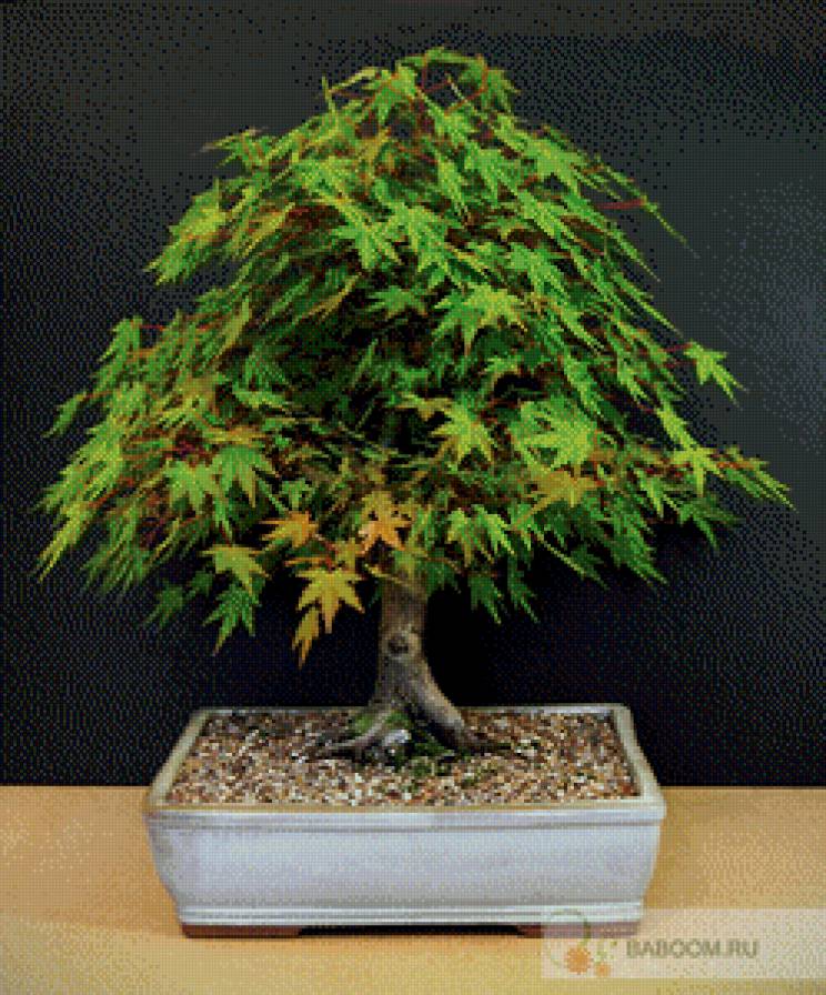 №790178 - предпросмотр