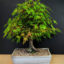 Схема вышивки «№790178»