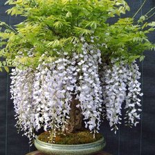 Схема вышивки «№790184»