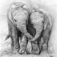 Пара слонов