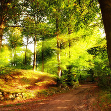 Схема вышивки «Летний сосновый лес»