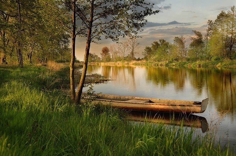 Пейзаж у реки - оригинал