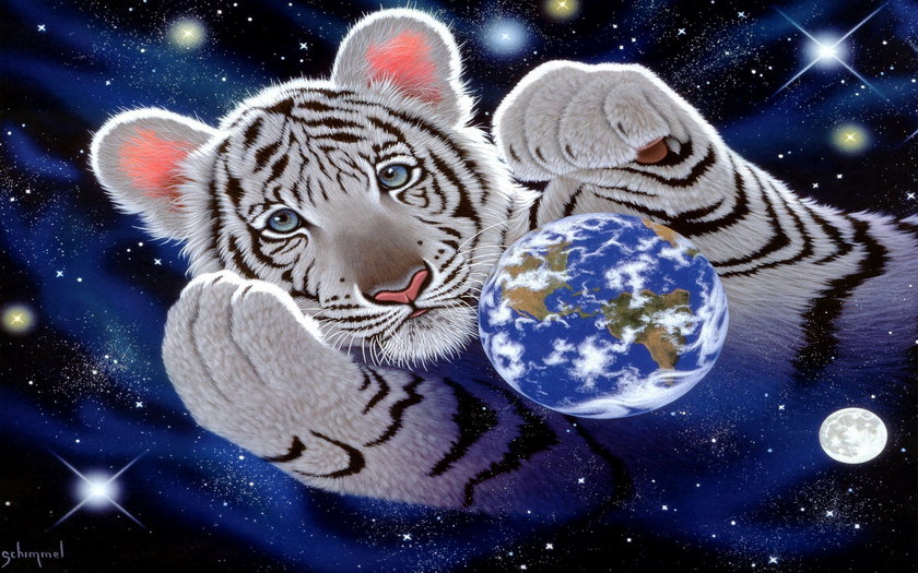 тигр - тигр - оригинал