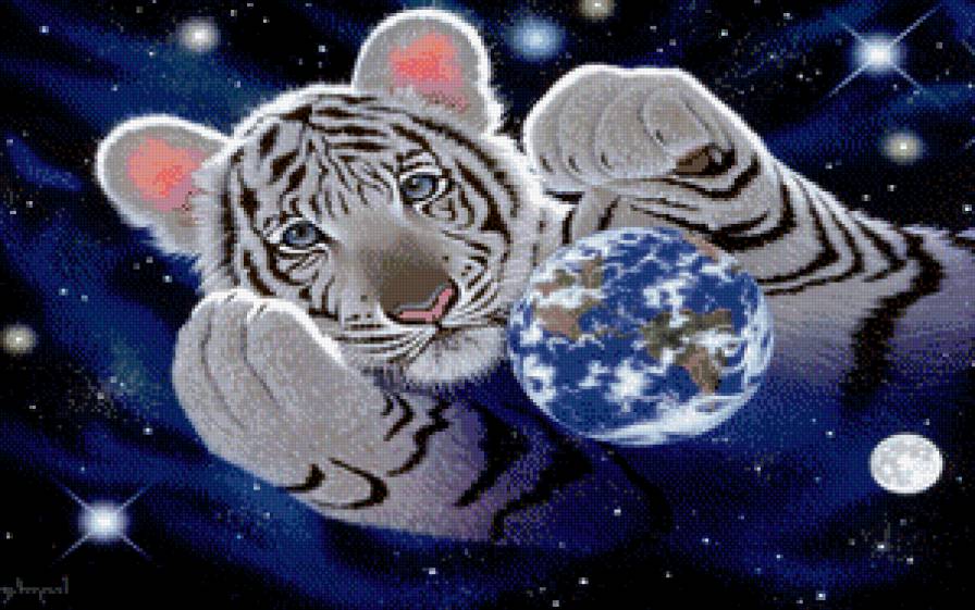 тигр - тигр - предпросмотр