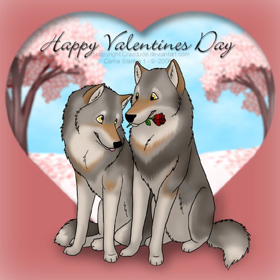 волки - волки - оригинал