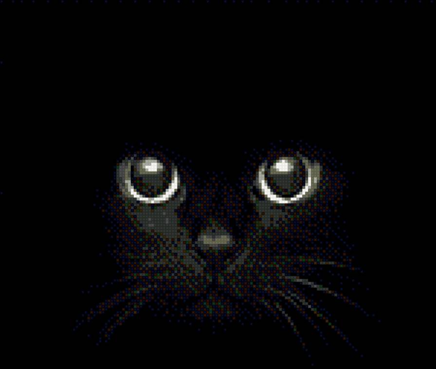 Кошка на черном фоне - кошки - предпросмотр