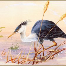 Схема вышивки «№790846»