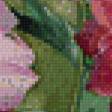 Предпросмотр схемы вышивки «серия "цветы"» (№790926)