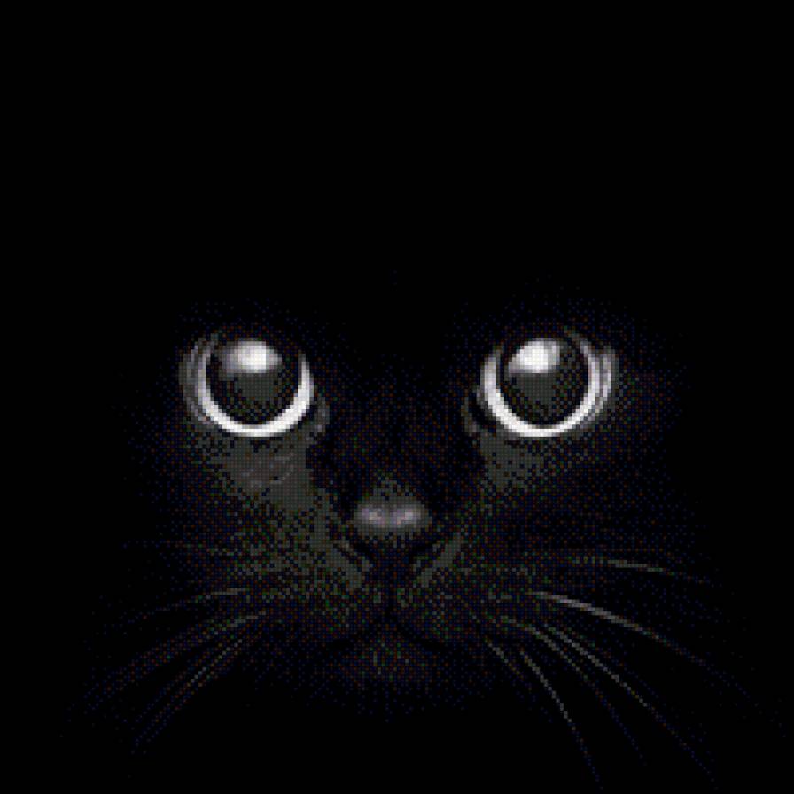 Кошка - кошка, кошачьи глаза., черная кошка - предпросмотр