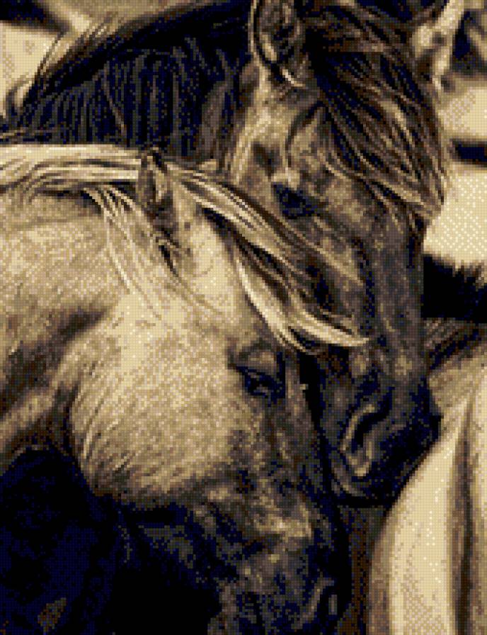 dvoika - предпросмотр