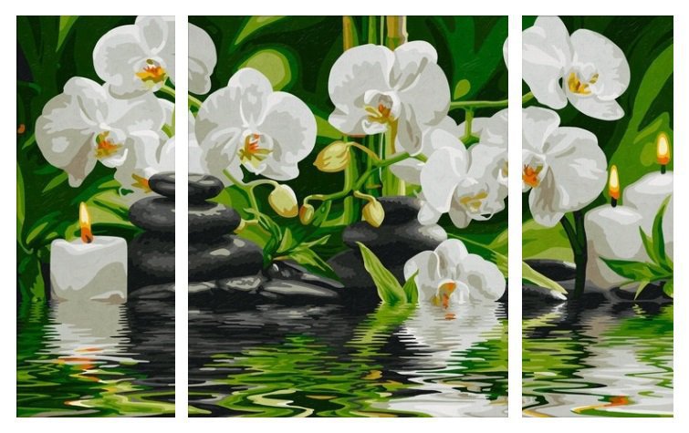 триптих орхидеи - цветы - оригинал