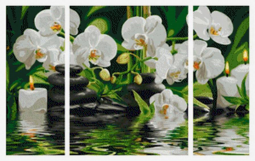 триптих орхидеи - цветы - предпросмотр
