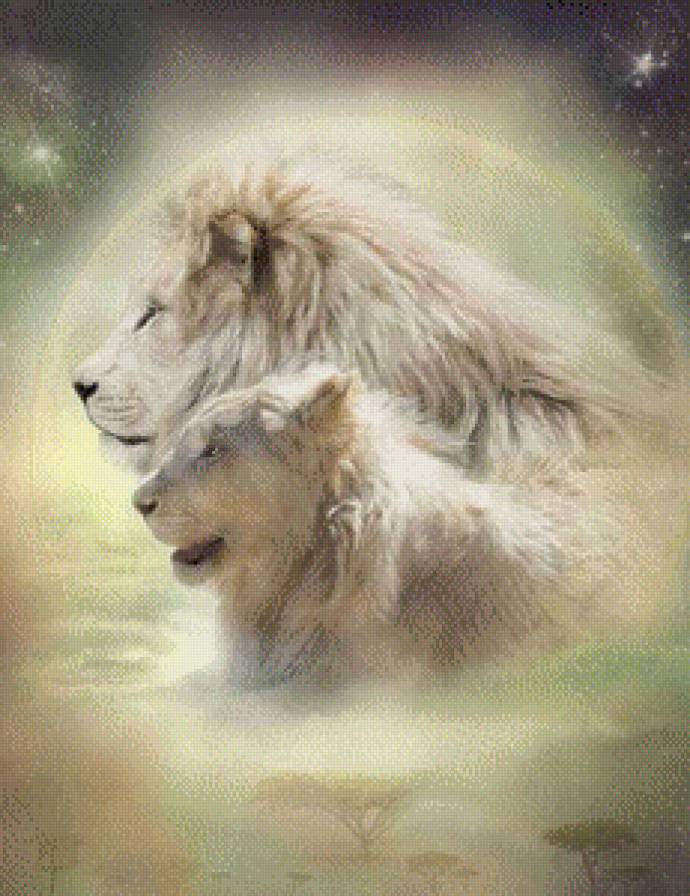 он и она - львы, животные, пара - предпросмотр