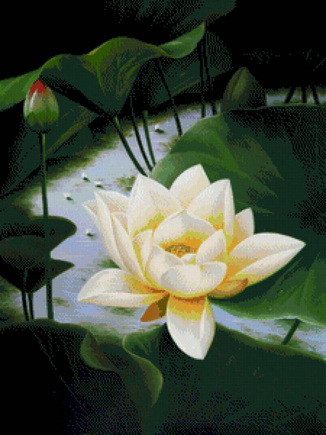 №791515 - предпросмотр