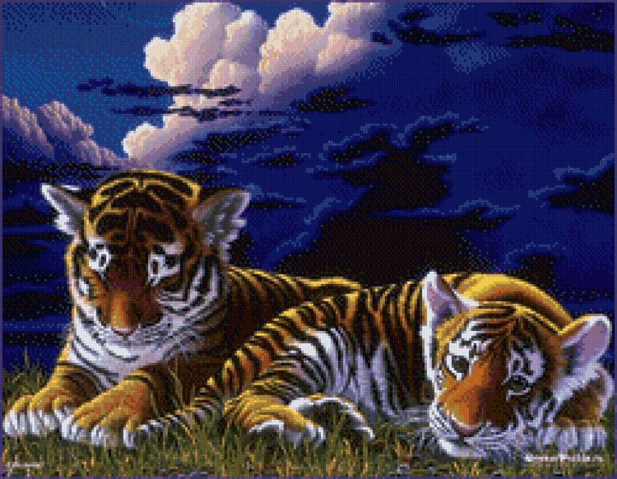 тигры - тигры - предпросмотр