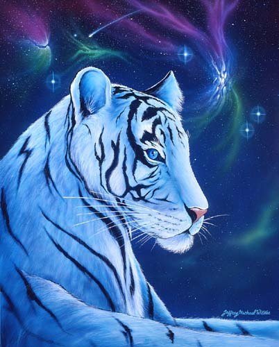 тигр - тигр - оригинал