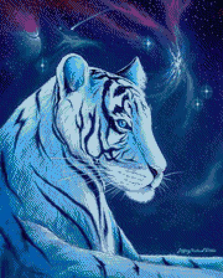 тигр - тигр - предпросмотр