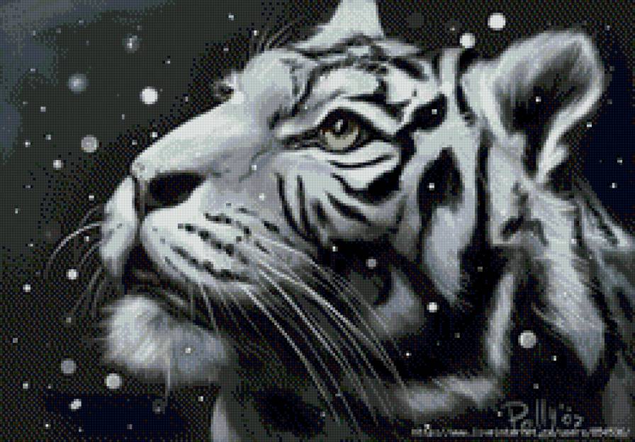 тигр - монохром, тигр - предпросмотр