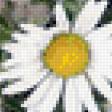 Предпросмотр схемы вышивки «ромашки» (№791652)