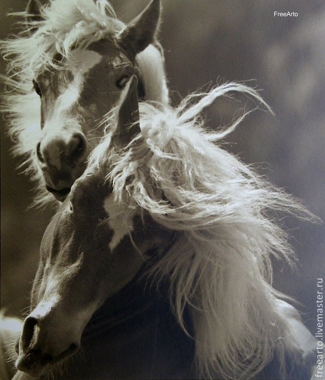 кони - оригинал