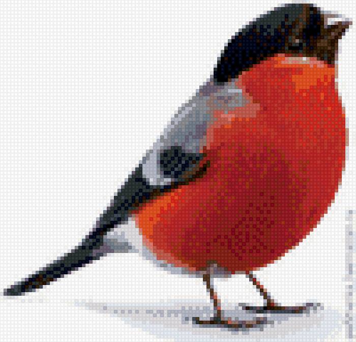 Снегирь - снегирь, вышивка - предпросмотр