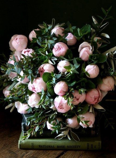 №792080 - натюрморт, пионы, цветы - оригинал