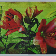 вышивка на 20 оттенков