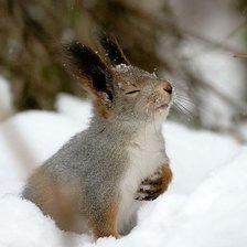 Схема вышивки «№792145»