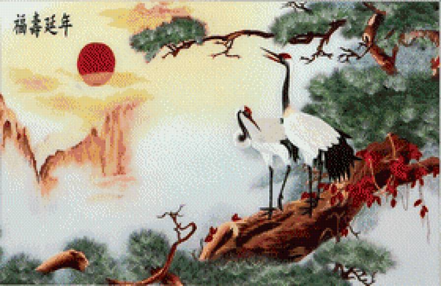 журавли на сосне. - сосна, птицы, журавли, природа - предпросмотр